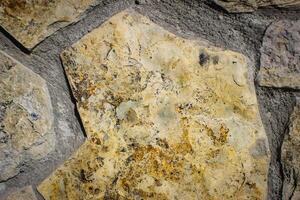masonry texture with sutures photo