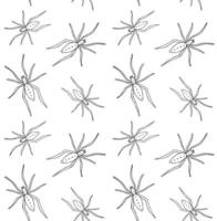 Seamless pattern of hand drawn spider vector