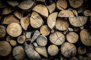 the texture of a bunch of wooden slices photo