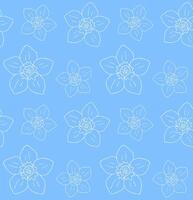 Seamless pattern of forget me not flower vector