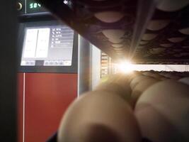 Close up the eggs on the trolley with concept technology of smart incubation hatchering machine. Modern hatchery technology. photo