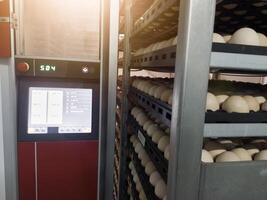 Hatchery concept technology of smart incubation hatchering machine. Modern technology Hatching eggs incubation manchinery. photo