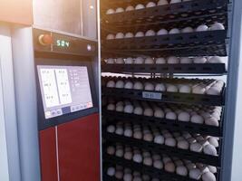 Hatchery concept technology of smart incubation hatchering machine. Modern technology Hatching eggs incubation manchinery. photo