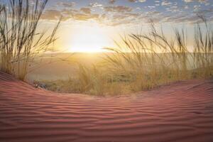 Red colored sand dunes of Sossusvlei in Namibia during a dramatic sunset, sand and grass in foreground, valley and desert in the background, sun setting on the horizon photo