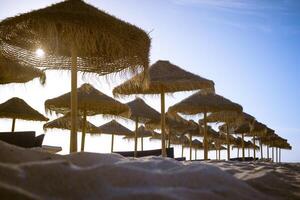Serene beach scene with a row of thatched umbrellas lined up on the sand photo