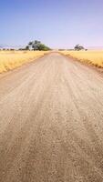 Desert gravel road with vanishing point displaying the way forward. Smartphone format or vertical banner. photo