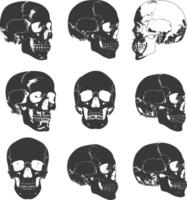 silhouette collection set hand drawn doodle cute skull black color only vector