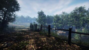 A fenced-in area with trees video