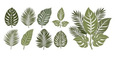 Set of silhouettes of tropical leaves and bouquets. Summer cover template. Design elements collection vector
