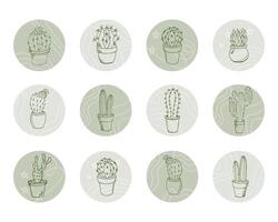 Set of round icons with contour cacti. Decor elements, templates vector
