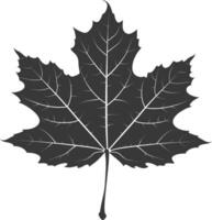 silhouette maple leaf black color only vector