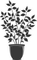 silhouette ornamental plants in pot full body black color only vector