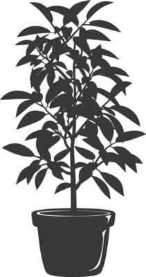 silhouette ornamental plants in pot full body black color only