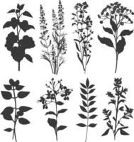silhouette several types of ornamental plants black color only vector