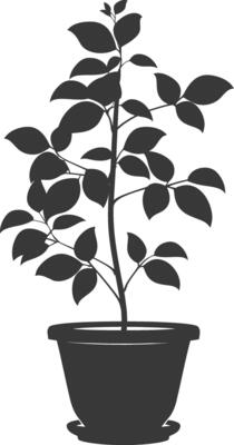 silhouette ornamental plants in pot full body black color only