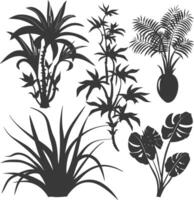 silhouette several types of ornamental plants black color only vector
