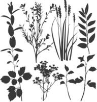 silhouette several types of ornamental plants black color only vector