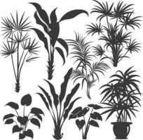 silhouette several types of ornamental plants black color only vector