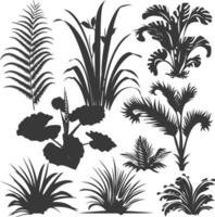 silhouette several types of ornamental plants black color only vector