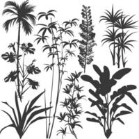 silhouette several types of ornamental plants black color only vector