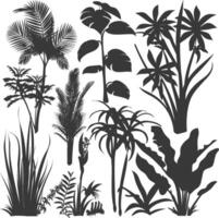 silhouette several types of ornamental plants black color only vector