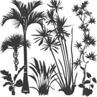 silhouette several types of ornamental plants black color only vector