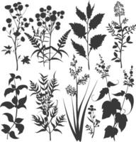 silhouette several types of ornamental plants black color only vector