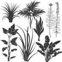 silhouette several types of ornamental plants black color only vector