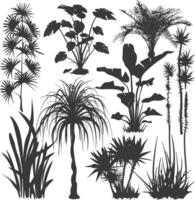 silhouette several types of ornamental plants black color only vector