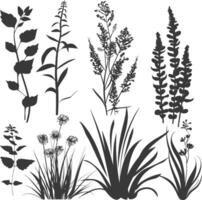 silhouette several types of ornamental plants black color only vector