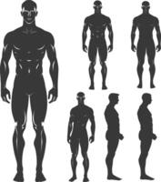 silhouette man mannequin with poses full body black color only vector