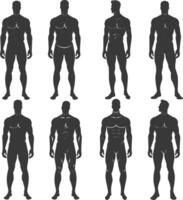 silhouette man mannequin with poses full body black color only vector