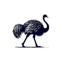 Ostrich bird silhouette Clip art isolated illustration on white background vector