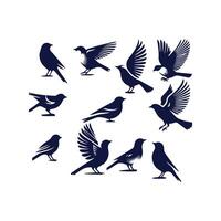 bird silhouette Clip art isolated illustration on white background vector
