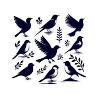 bird silhouette Clip art isolated illustration on white background vector