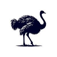 Ostrich bird silhouette Clip art isolated illustration on white background vector
