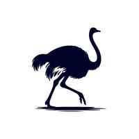 Ostrich bird silhouette Clip art isolated illustration on white background vector