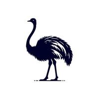 Ostrich bird silhouette Clip art isolated illustration on white background vector