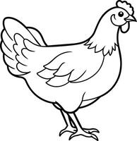 hen outline illustration, isolated on white background, top view vector