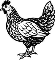Intricately detailed line art of a chicken, ideal for use in print and digital media vector