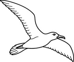 Black Browed Albatross vector