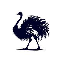 Ostrich bird silhouette Clip art isolated illustration on white background vector