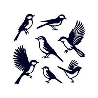 bird silhouette Clip art isolated illustration on white background vector