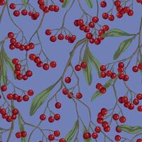 Winterberry, holly berries on branches hand drawn seamless pattern. Colored botanical background. Wallpaper with vintage drawing. Abstract design for prints, card, decor, wrap, fabric, textile. vector