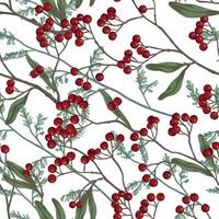 Winterberry, holly berries on branches hand drawn seamless pattern. Colored botanical background. Wallpaper with vintage drawing. Abstract design for prints, card, decor, wrap, fabric, textile. vector