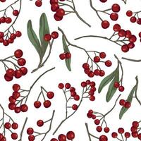 Winterberry, holly berries on branches hand drawn seamless pattern. Colored botanical background. Wallpaper with vintage drawing. Abstract design for prints, card, decor, wrap, fabric, textile. vector