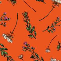 Wild plants abstract ornament. Hand drawn seamless pattern. Floral ornament in retro sketch style. Vintage botanical design for background, decor. vector