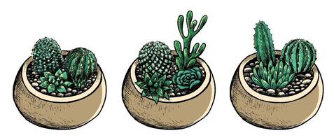 Collection of pots with cacti and succulents. Vintage botanical set with house plants in sketch style. Hand drawn illustration. Decorative floral elements isolated on white for design. vector