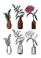 Decorative vases with plants. Hand drawn illustration of home decorations. Set of contour and color drawings isolated on white. Vintage engraving botanical sketch. vector