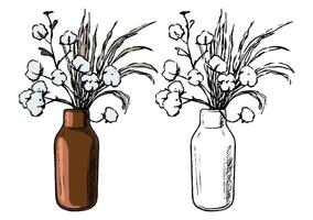 Decorative vase with cotton plants. Hand drawn illustration. Set of contour and color drawings isolated on white. Vintage, engraving, botanical sketch. Elements for design, card, print, sticker vector